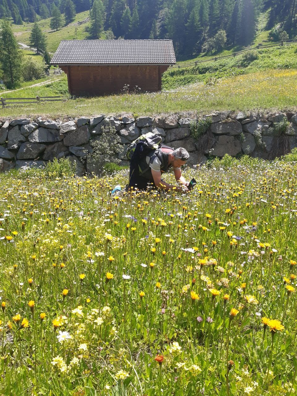 Viva Kraeuterwanderung 14